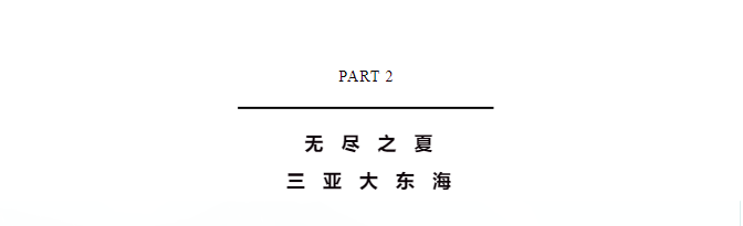 三亚旅游文化发展集团有限公司 三亚旅游文化发展集团有限公司