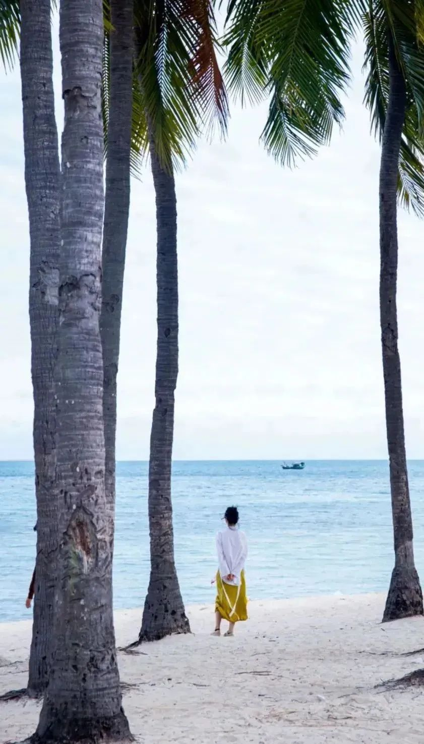 三亚旅游文化发展集团有限公司 三亚旅游文化发展集团有限公司