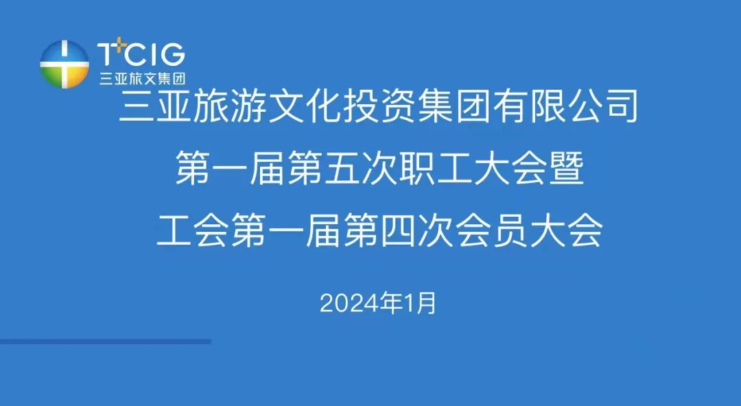 三亚旅游文化发展集团有限公司