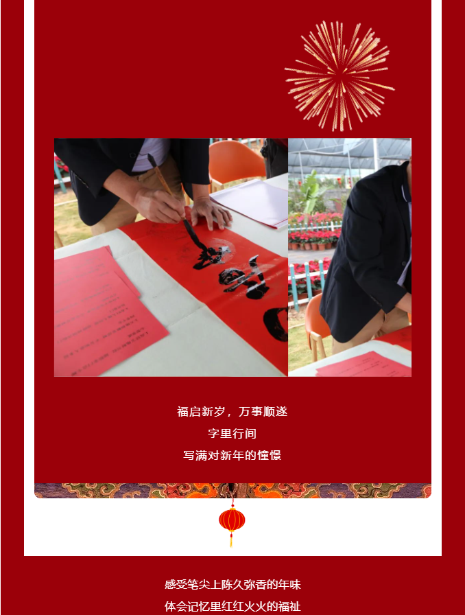 三亚旅游文化发展集团有限公司