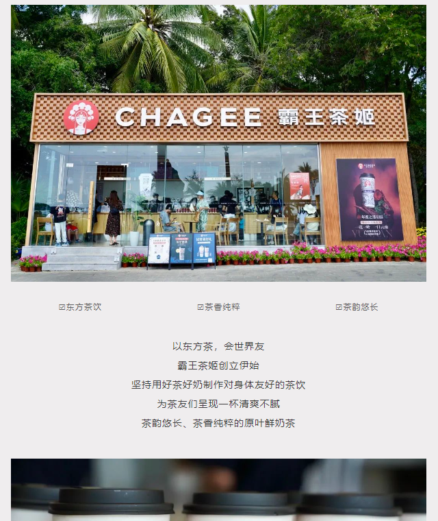 三亚旅游文化发展集团有限公司