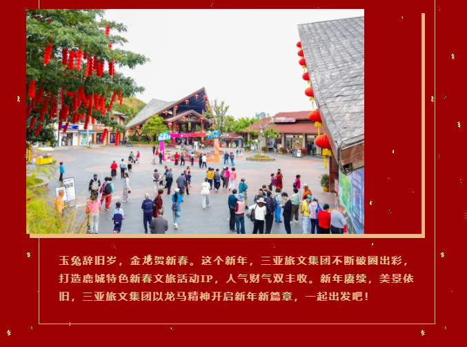 三亚旅游文化发展集团有限公司