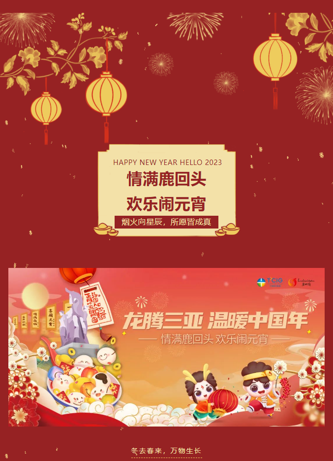 三亚旅游文化发展集团有限公司