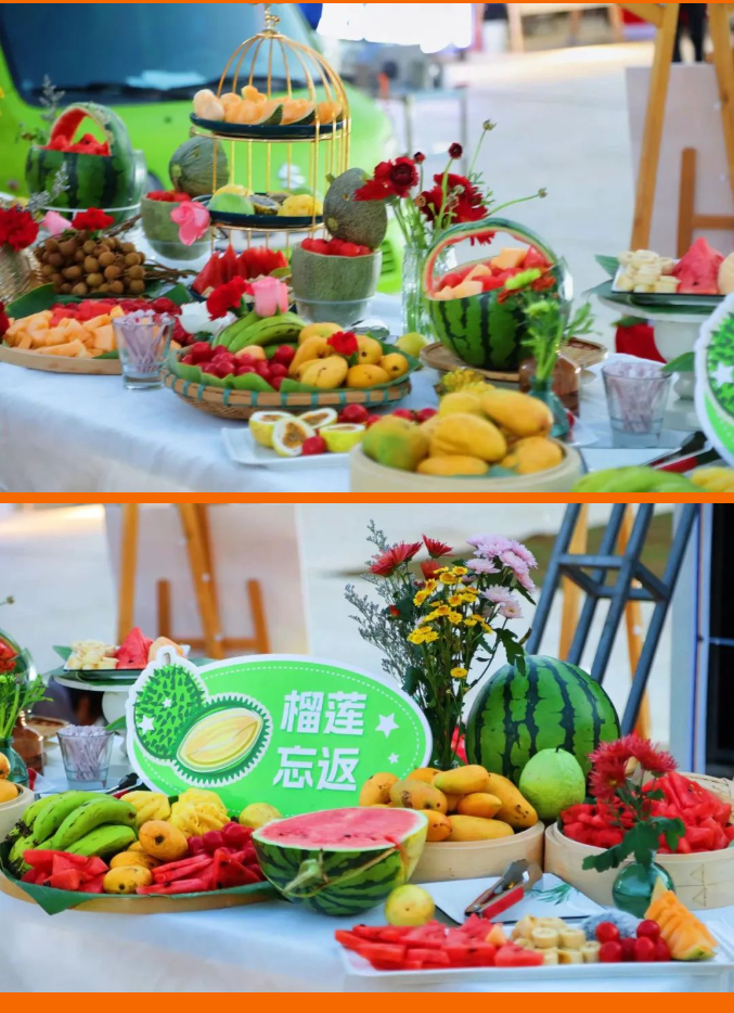 三亚旅游文化发展集团有限公司