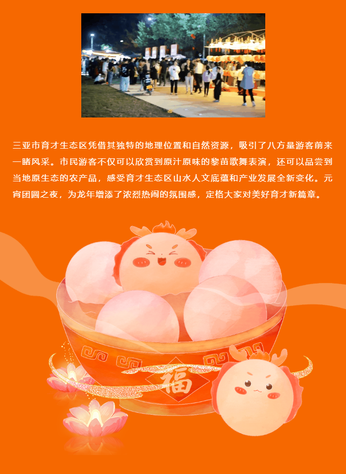 三亚旅游文化发展集团有限公司