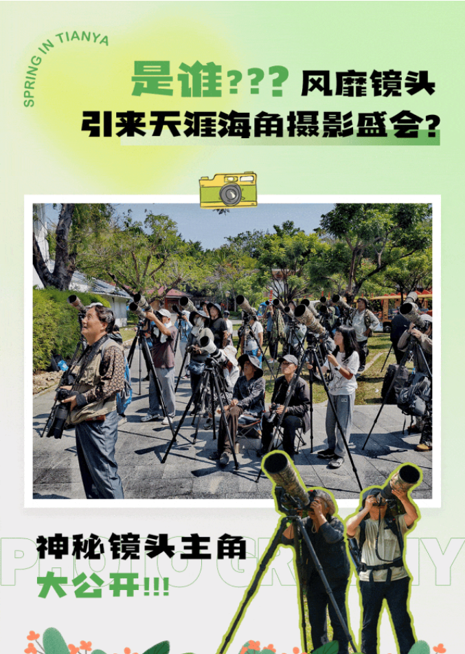 三亚旅游文化发展集团有限公司