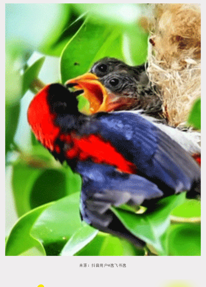 三亚旅游文化发展集团有限公司