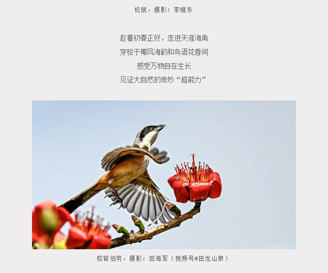 三亚旅游文化发展集团有限公司