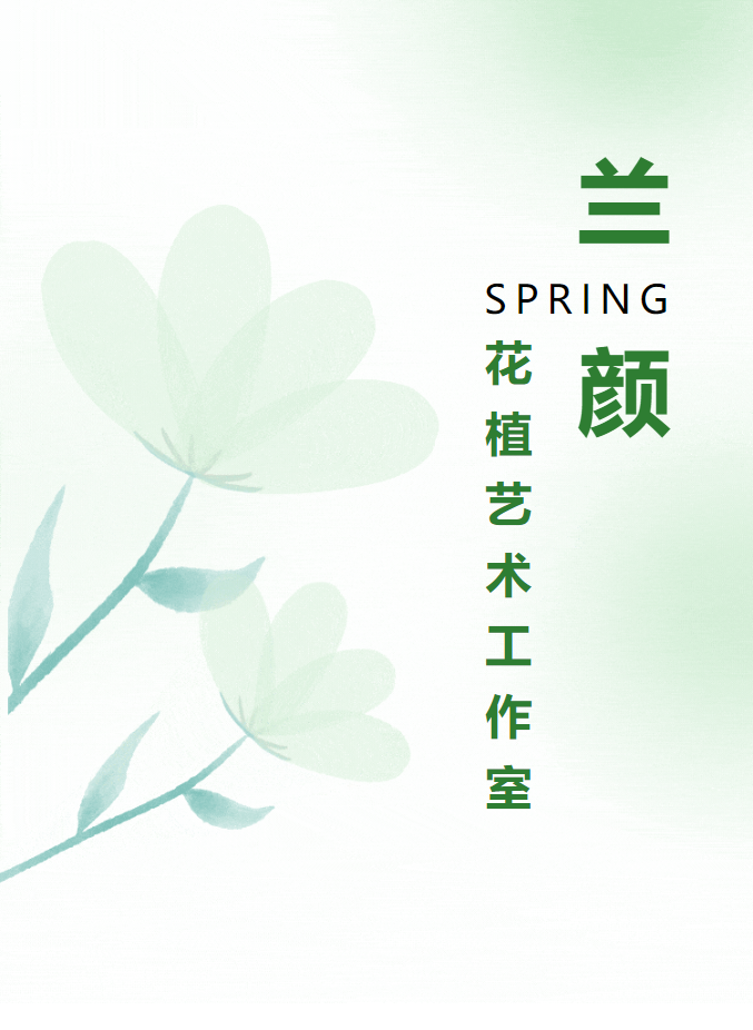 三亚旅游文化发展集团有限公司