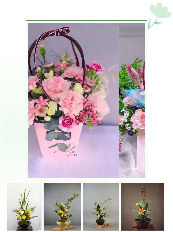 三亚旅游文化发展集团有限公司