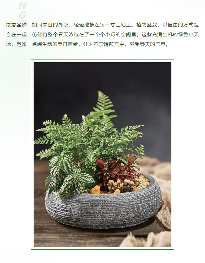 三亚旅游文化发展集团有限公司