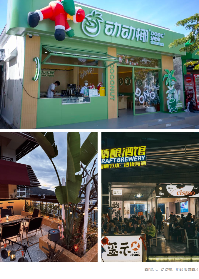 三亚旅游文化发展集团有限公司