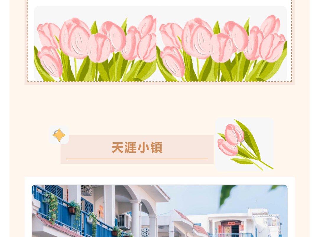 三亚旅游文化发展集团有限公司