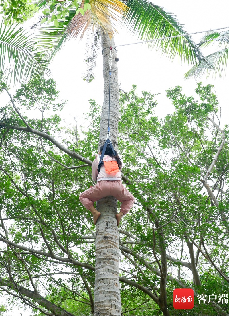三亚旅游文化发展集团有限公司
