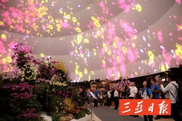 哇！5万件国内外花卉作品在三亚“开会”
