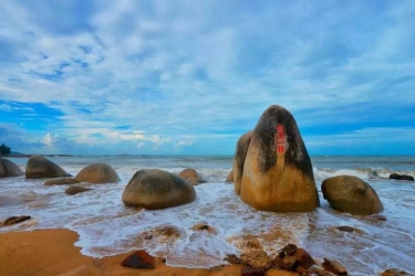 停业不停工 | 线下防疫，线上学习 , 天涯海角大练内功！