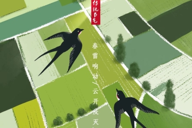 惊蛰始，万物苏，我想你，海南！