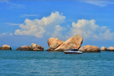 你的春日愿望清单里一定不能没有这个！