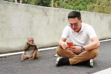 别找了“大师兄”隐居在此！