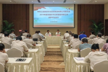 旅文集团党委召开2019年度党组织书记抓基层党建工作述职评议会议