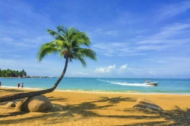 最海南！最精神！椰风海韵本韵居然是他！