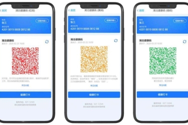 省外人员持当地“绿码”可无障碍通行海南！