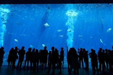 新华社聚焦：“脱胎换骨”的三亚旅游业，以“热辣”姿态迎来持续升温