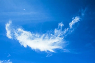 有一种蓝色，叫做“文明天涯”！