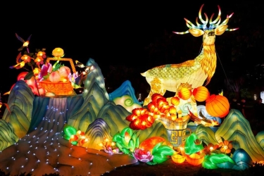 今夜，数千盏花灯点亮鹿城，三亚鹿城灯会嘉年华绚丽启幕！