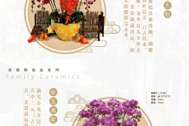 三亚旅文集团“兰颜”系列产品献礼新春，精品兰花款式抢先看