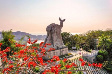 去鹿回头吧！看这场春日限定美景！