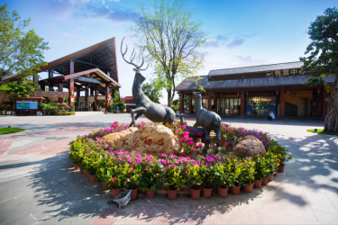 三亚鹿回头风景区招商火爆进行中！