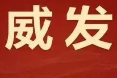 十九届中央纪律检查委员会向中国共产党第二十次全国代表大会的工作报告