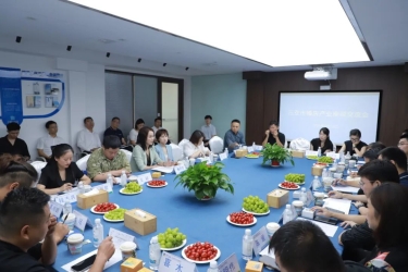 布局“甜蜜产业”，三亚旅文集团召开婚庆产业发展座谈交流会