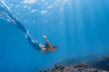 PADI水肺潜水、自由潜、美人鱼，三亚旅发集团海洋公司暑期潜水课程重磅发布！