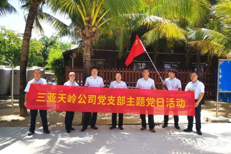 天岭党支部“我为群众办实事”社区卫生大扫除党日活动