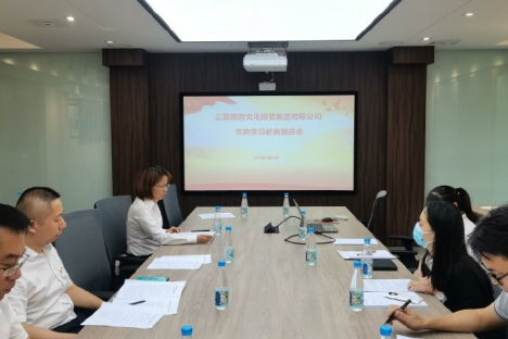 中共三亚旅游文化投资集团有限公司委员会 召开党史学习教育推进会
